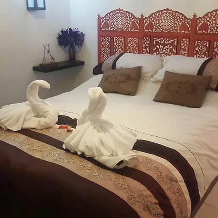 Apartment Dream's *