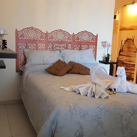 Apartment Dream's *